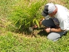 brad-and-palm