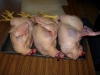 chicken-ready-to-clean