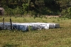 chicken-tractors