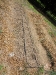 school-gardens-drip-irrigation-2