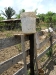 school-gardens-drip-irrigation