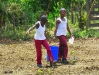 school-gardens06_0