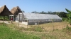 shade-house